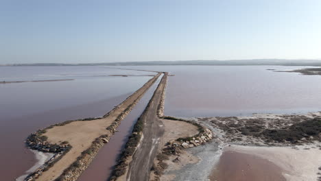 aerial view of pink salt flats and canals