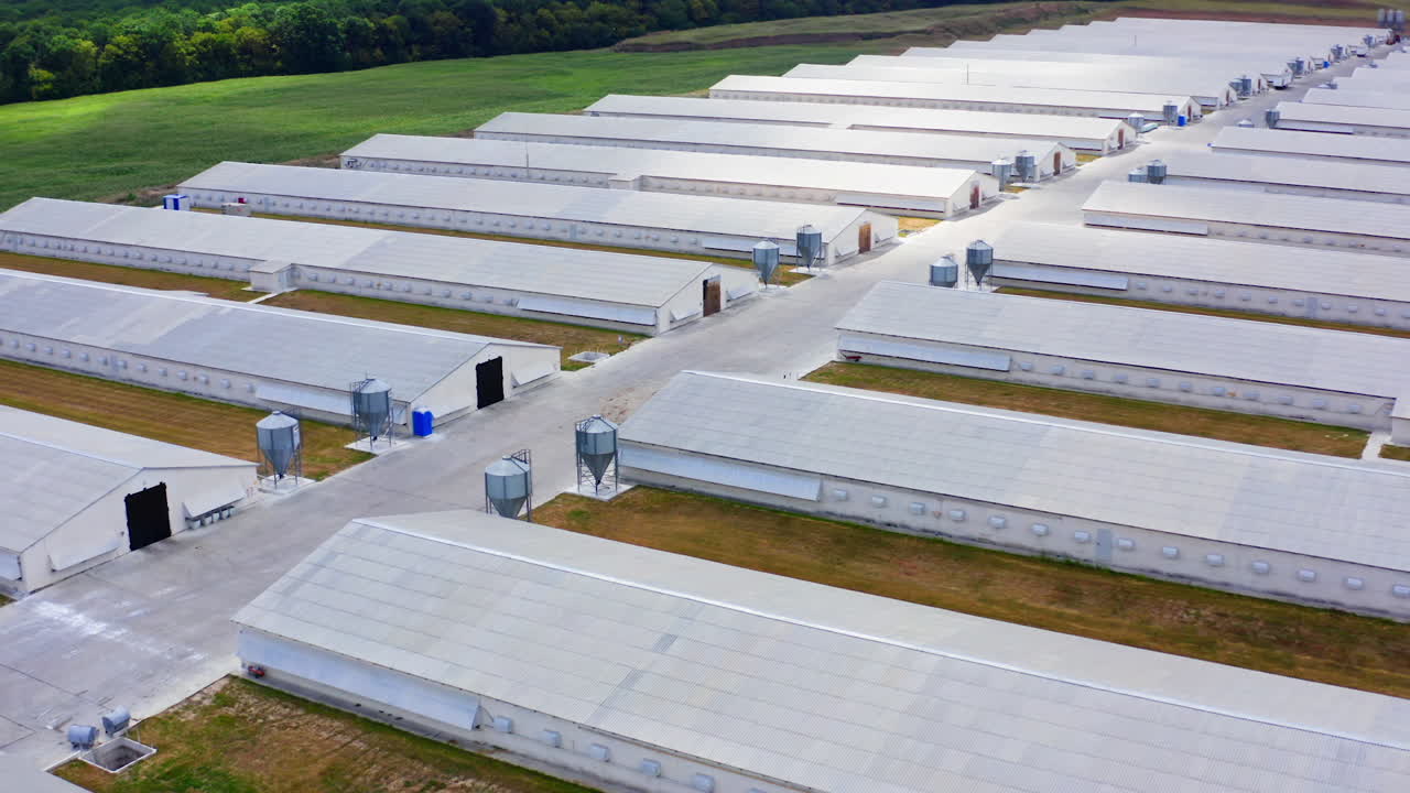 Modern agriculture on field. Rows of white farm houses for livestock. Large territory of a farm with many barns and warehouses. Top view.