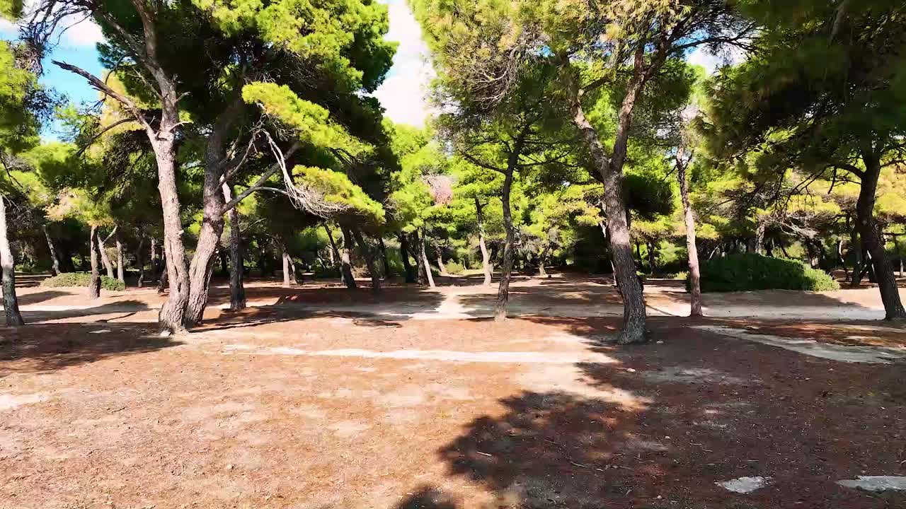 vuelo de drones a través del bosque y sobre el mar