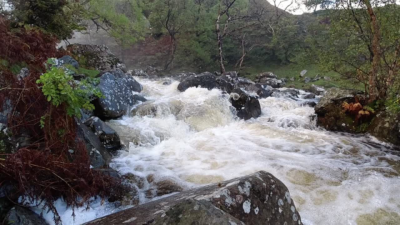 cascada de bosque que fluye rocoso a cámara lenta agua de río salpicando en la formación rocosa de la orilla del río