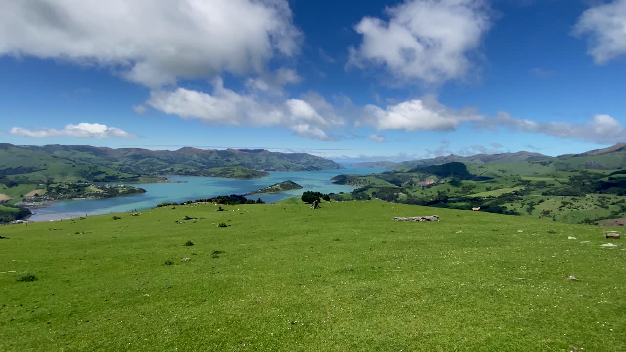 Wide angle of sunny Banks Peninsula bay and a green meadow