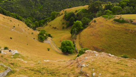 Aerial-view-reversing-across-yellow-bumpy-rolling-Over-Haddon-valley-hills-in-Peak-district-countryside