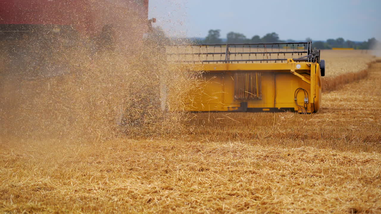 Agriculture machine harvesting crop in fields. Special technic in action. Agricultural technic in field. Heavy machinery, blue sky above field.