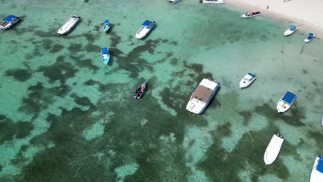 Aerial-shot-of-boats-and-yachts-at-Bayahibe-beach-in-Dominican-Republic