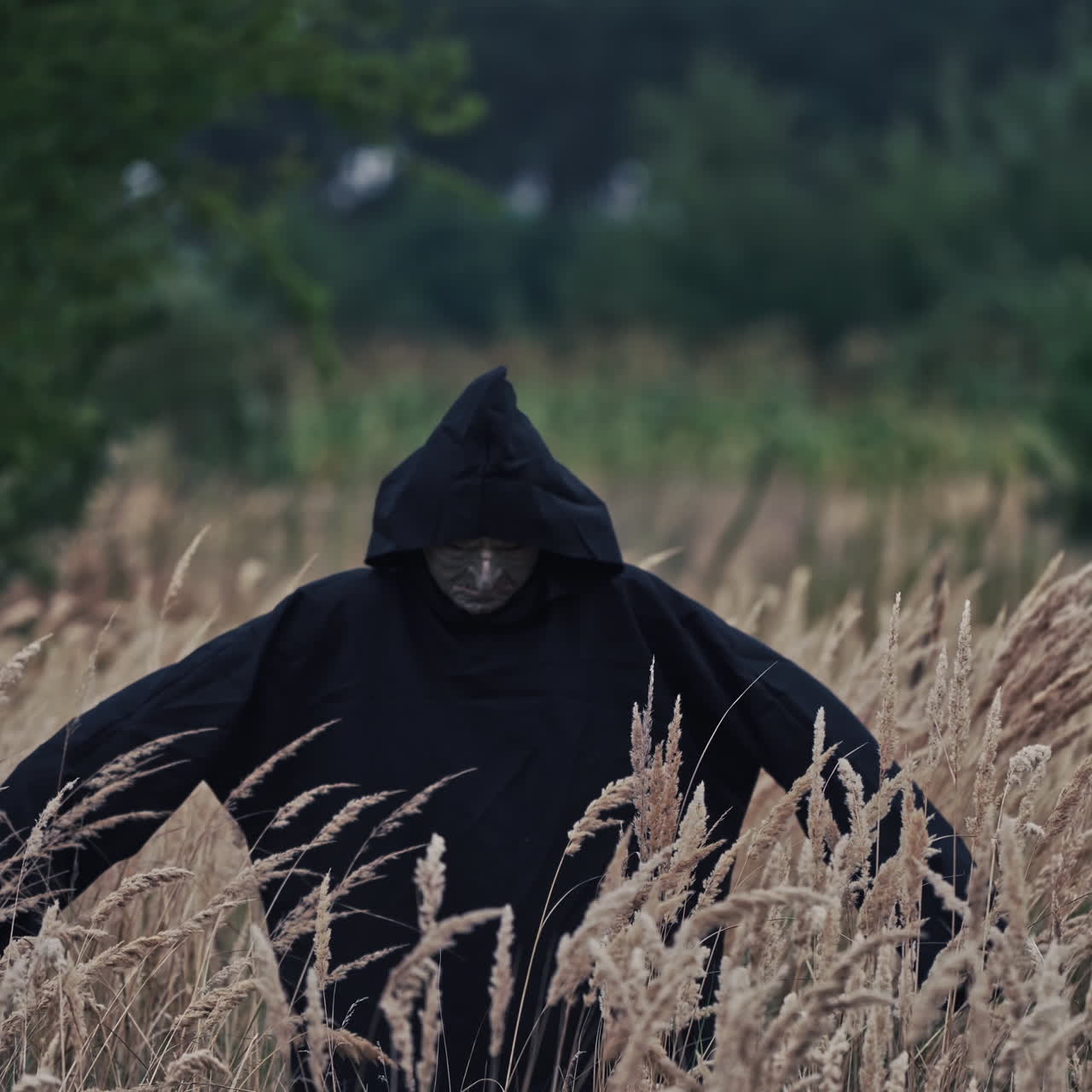 Mystical devil in black mantle on field. Portrait of a spooky figure with scary face in dark robe with hood on blur trees background outdoors.