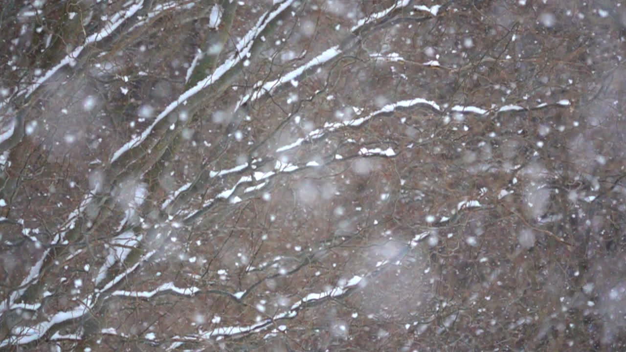 la nieve esponjosa cae suavemente en cámara lenta