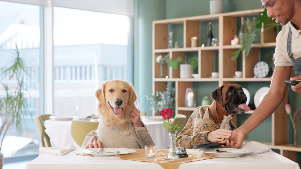 Dogs dining in a restaurant