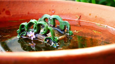 puente decorativo modelo chino adornado en terracota baño para pájaros agua ondeando en la brisa