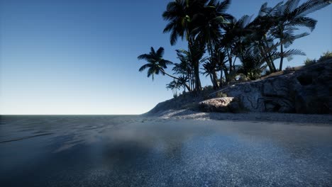tropical island of maldives in ocean