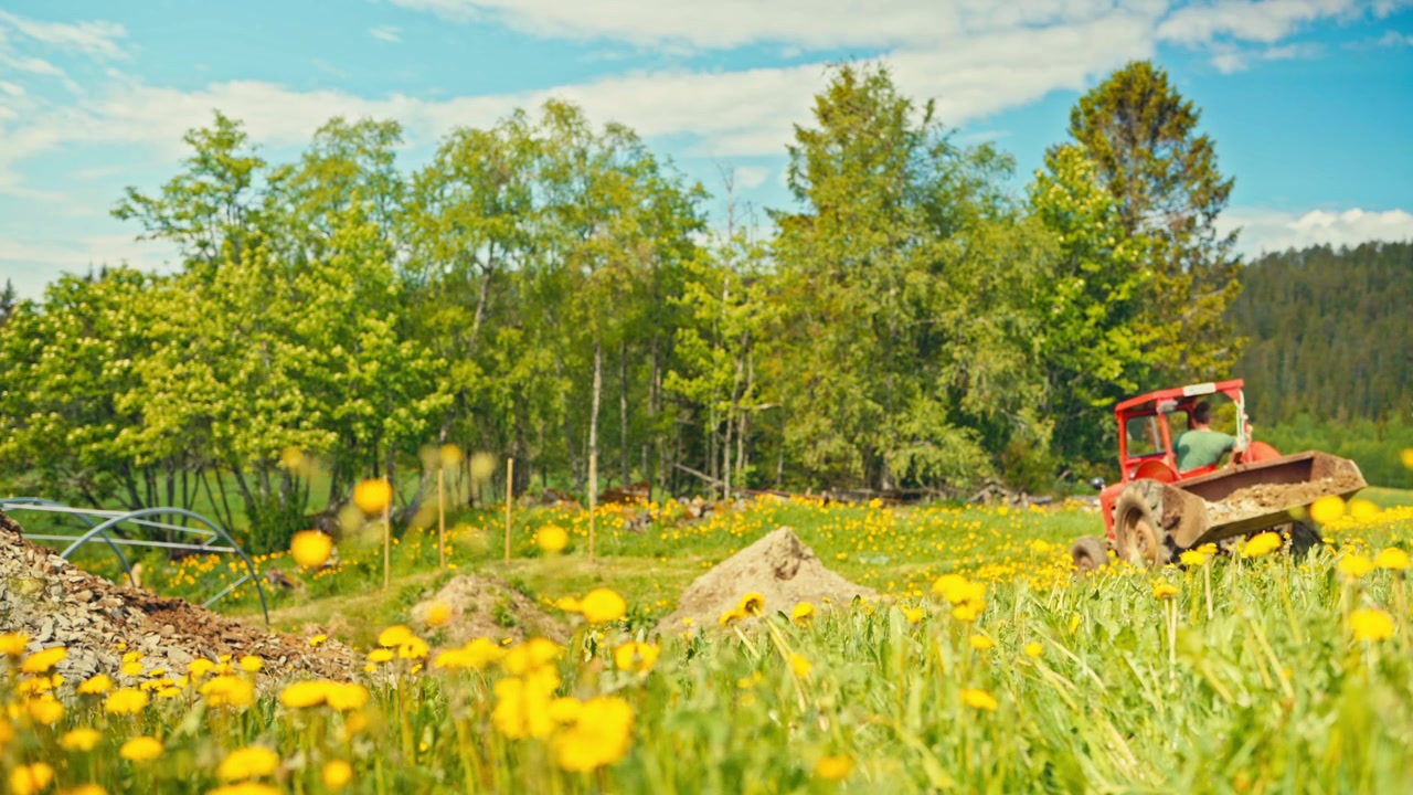 En Massey Ferguson 35-traktor med skuffeutstyr brukt på et landlig jorde med villblomster under utendørs landbruksarbeid. Statisk bilde