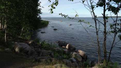 summer on the coast of käsmu