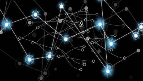 animación de redes de conexiones y procesamiento de datos