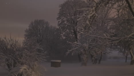 starry night timelapse with lightning in a winter forest snow environment scene