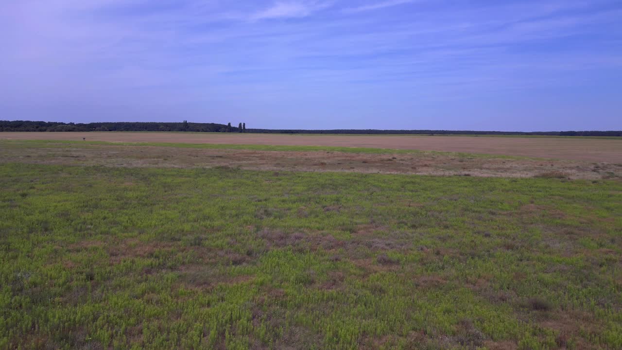 paisaje rural con una carretera, árboles y campos cultivados. fantástica vista aérea de vuelo