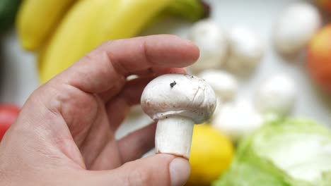 hand holding a white mushroom