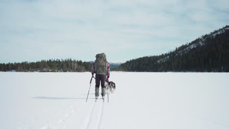 Scenic-View-Of-Adventure-Man-Skiing-With-Alaskan-Malamute-On-Snowland-At-Indre-Fosen,-Norway