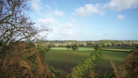 still autumnal rural view over green land in herefordshire