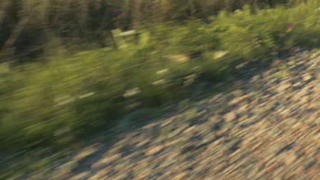 rural countryside gravel road with grass on the edge sweeping past the camera