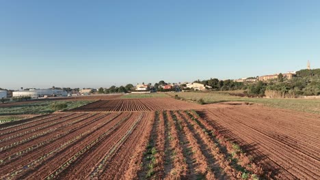 a steady flight above the agricultural fields