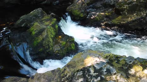 pequeñas cascadas en el río dart en el borde del parque nacional de dartmoor, inglaterra, reino unido