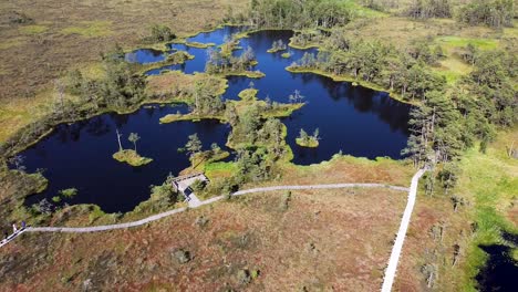 aerial drone clip zooming in on bog lakes in rannametsa-tolkuse raba in estonia during summer