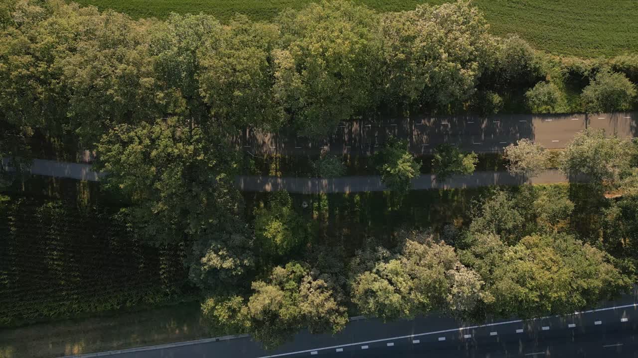 나무 들 을 가로질러 있는 도로 의 공중 사진