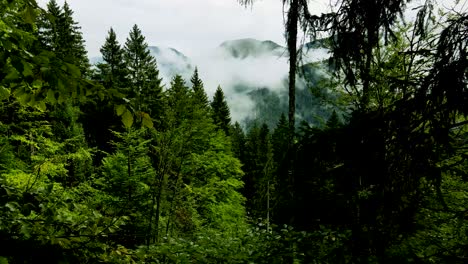 Eslovenia-Misty-Mountain-Paisaje-Drone-Aéreo-15.mp4