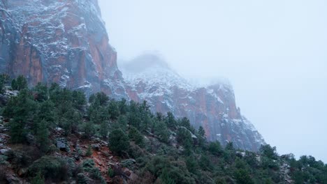 Up-angle-of-the-snow-falling-in-the-mountains-with-lush-green-trees-below