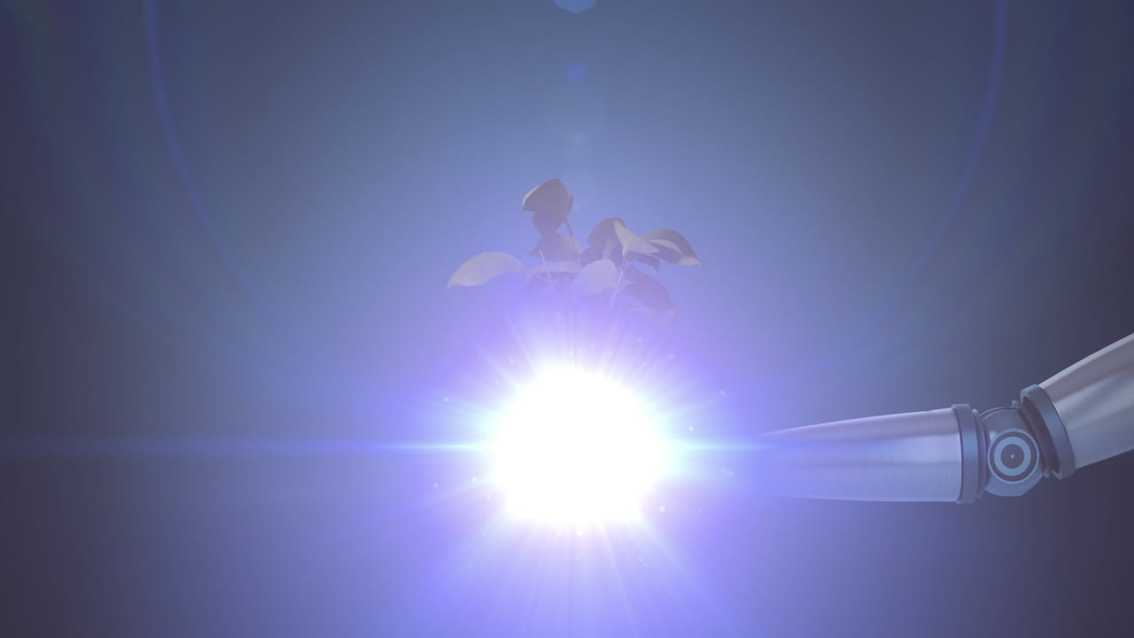 어두운 배경에 움직이는 빛과 함께 연장 된 로 ⁇  팔의 손에 성장하는 식물의 애니메이션