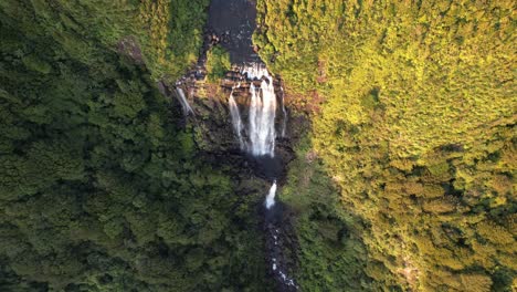 Vogelperspektive-Der-Wairere-Falls-In-Neuseeland,-Dem-Höchsten-Wasserfall-Der-Nordinsel