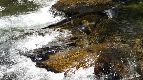 Toma-En-Cámara-Lenta-De-Agua-Que-Fluye-En-Un-Río