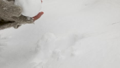 close up of person with gloves without finger protection forming snowball of deep snow in nature