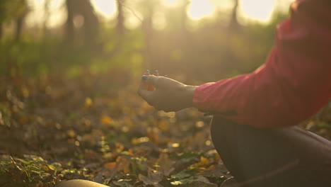 woman meditating in nature at sunset
