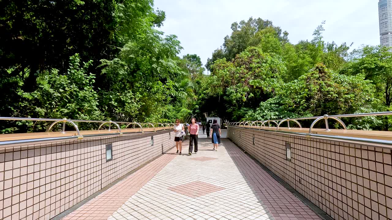 푸른 다리 에서 고 있는 사람 들