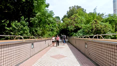 people walking on a lush, green bridge