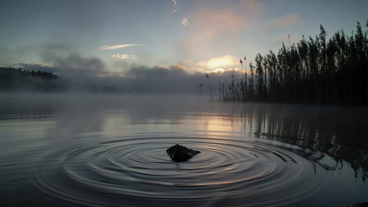 Small dark rock sending concentric ripples across still lake at dawn, with misty reeds reflections