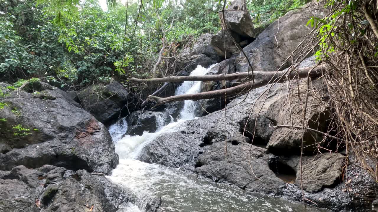 el agua que fluye sobre las rocas en el bosque exuberante