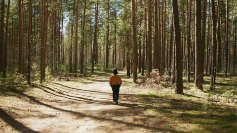 boy walking through a pine forest