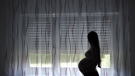 pregnant woman silhouette at the window.