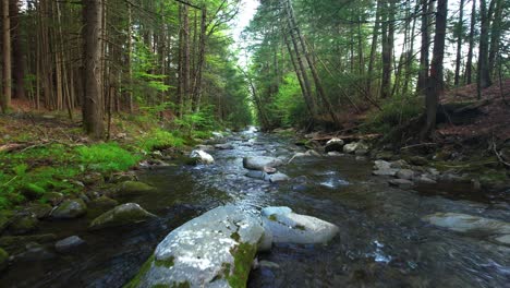 Low-angle-drone-footage-of-a-beautiful-stream-in-a-lush,-green,-magical-forest