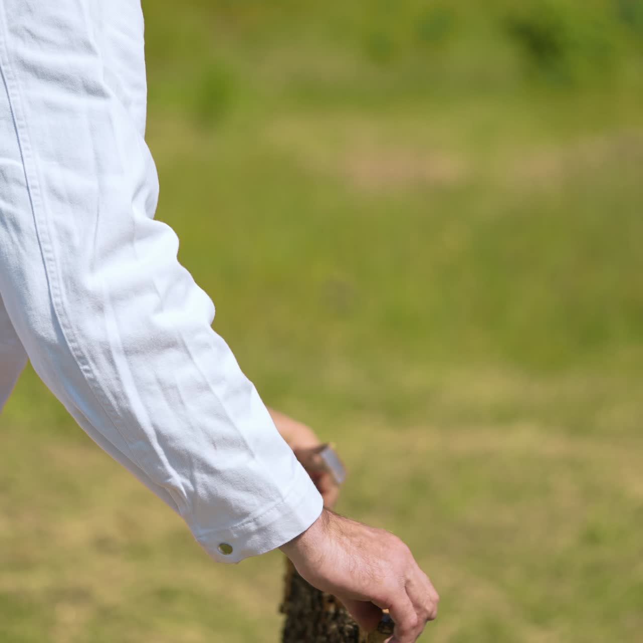 Apiarist working on a farm. Bee farmer examining bees on a honey frame and puts it into a hive. Apiculture concept