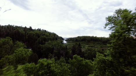 Aerial-Fly-Through-Green-Forest