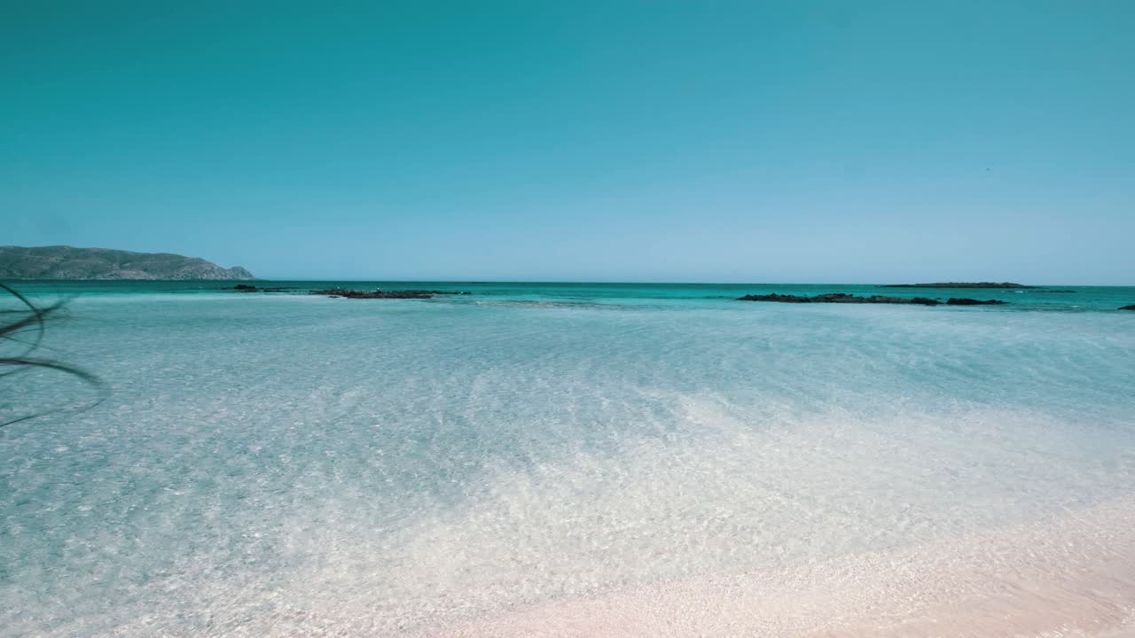 청록색 바다, 무릎 깊이 및 분홍색 모래 해변으로 걷는 소녀