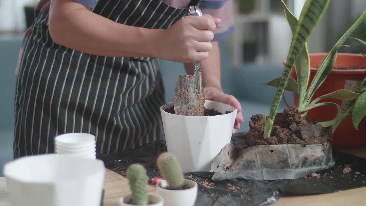 cerca de las manos del hombre sosteniendo la paleta de jardinería y plantando en casa