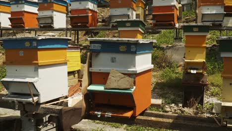 pan hacia abajo sobre coloridas colmenas en terrazas en una granja de apicultura de miel búlgara