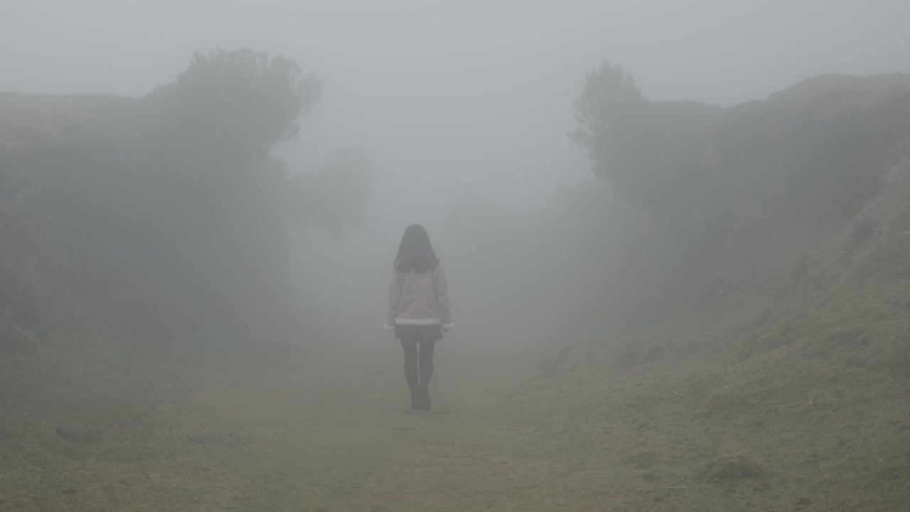 월계수 숲으로 들어가 안개 속에서 사라지는 여성, 마데이라 섬