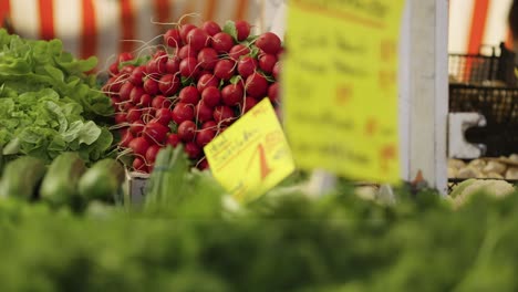 Los-Fruteros-Compran-En-El-Mercado-De-Agricultores-Vendiendo-Lechuga-Fresca,-Rábano-Rojo-Y-Otros-Productos