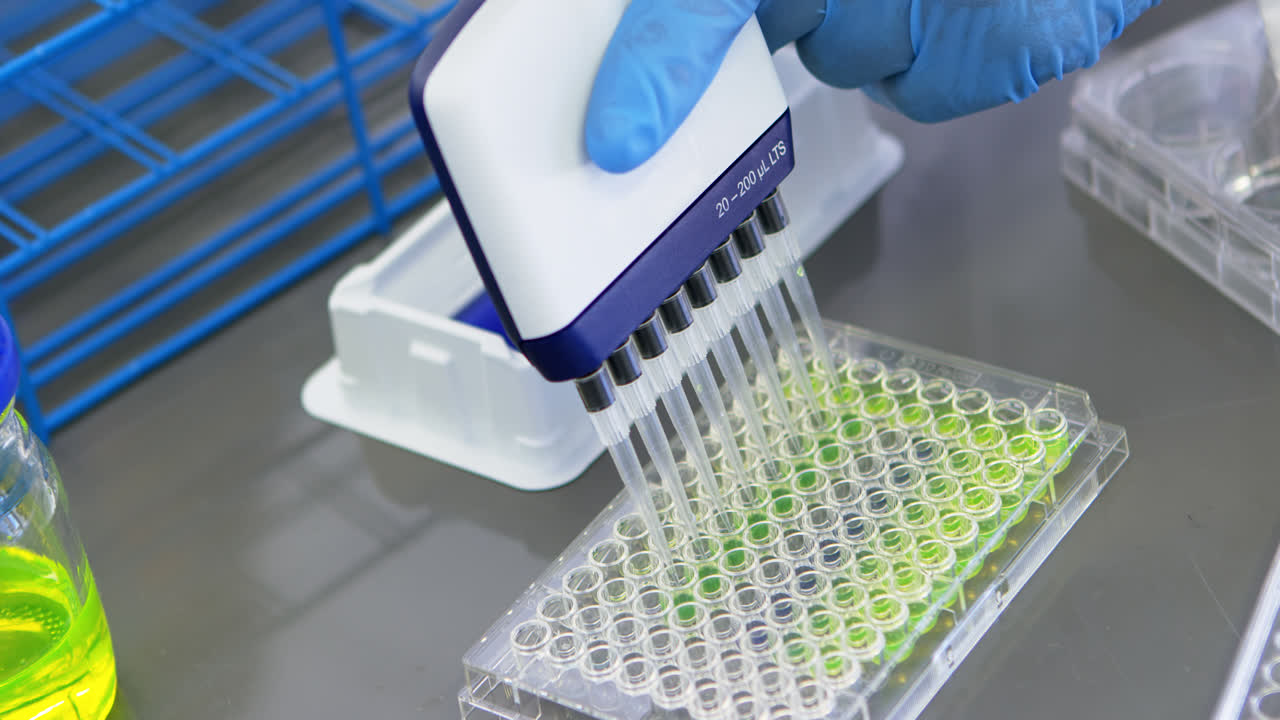 Scientist using multi channel pipette 4k