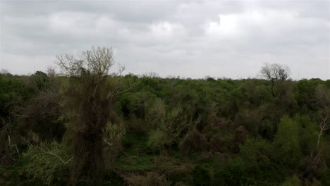 descending-in-a-tree