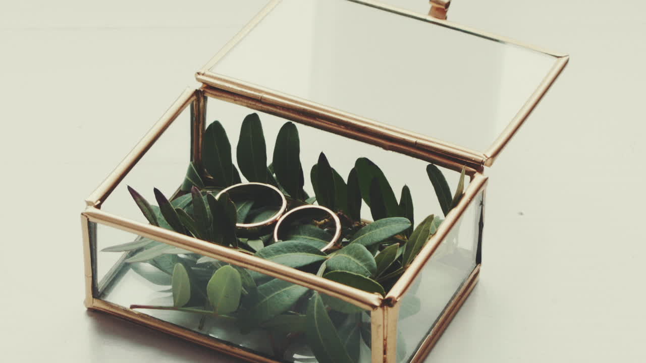 Wedding Rings in Glass Box Closeup